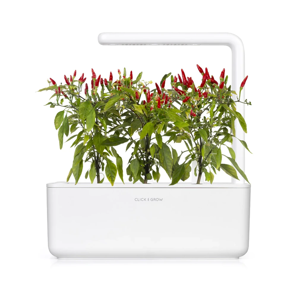 Click & Grow sėklos išmaniajam vazonui - Piri Piri čili pipirai (SGR67X3) 3vnt.