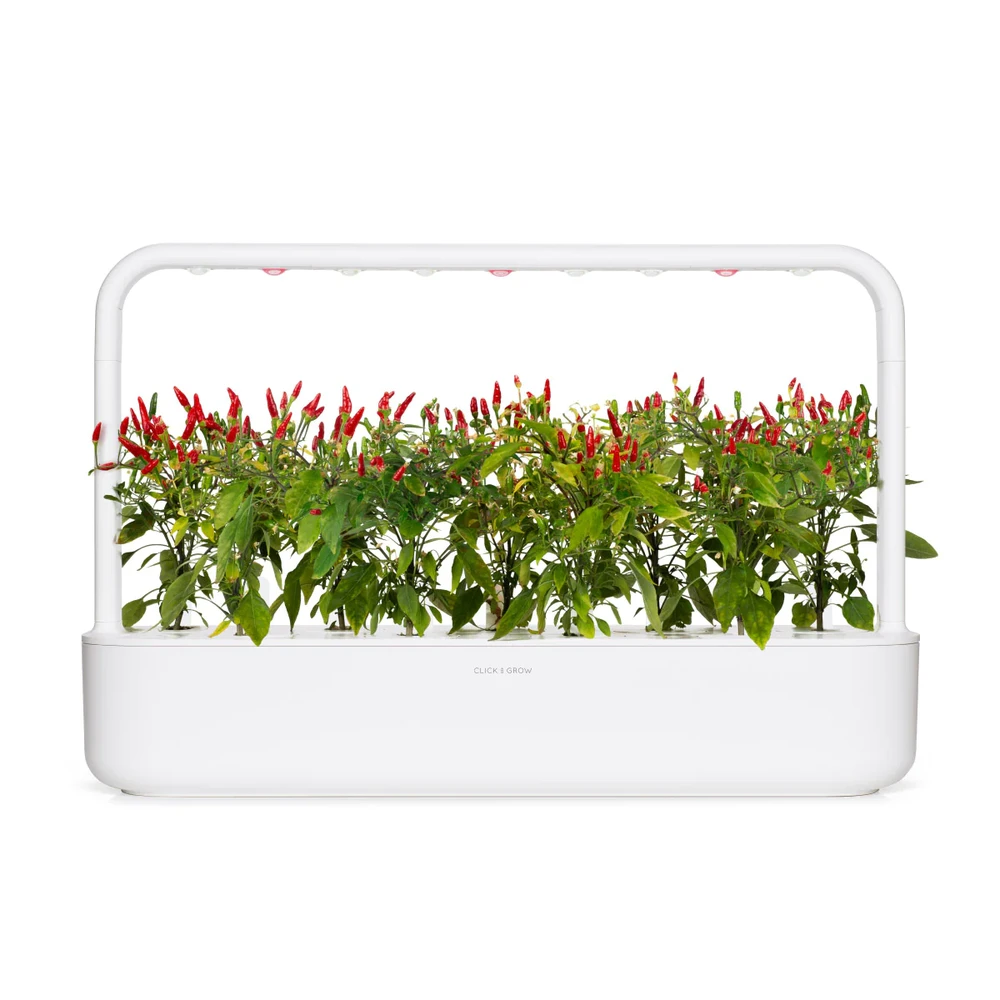 Click & Grow sėklos išmaniajam vazonui - Piri Piri čili pipirai (SGR67X3) 3vnt.