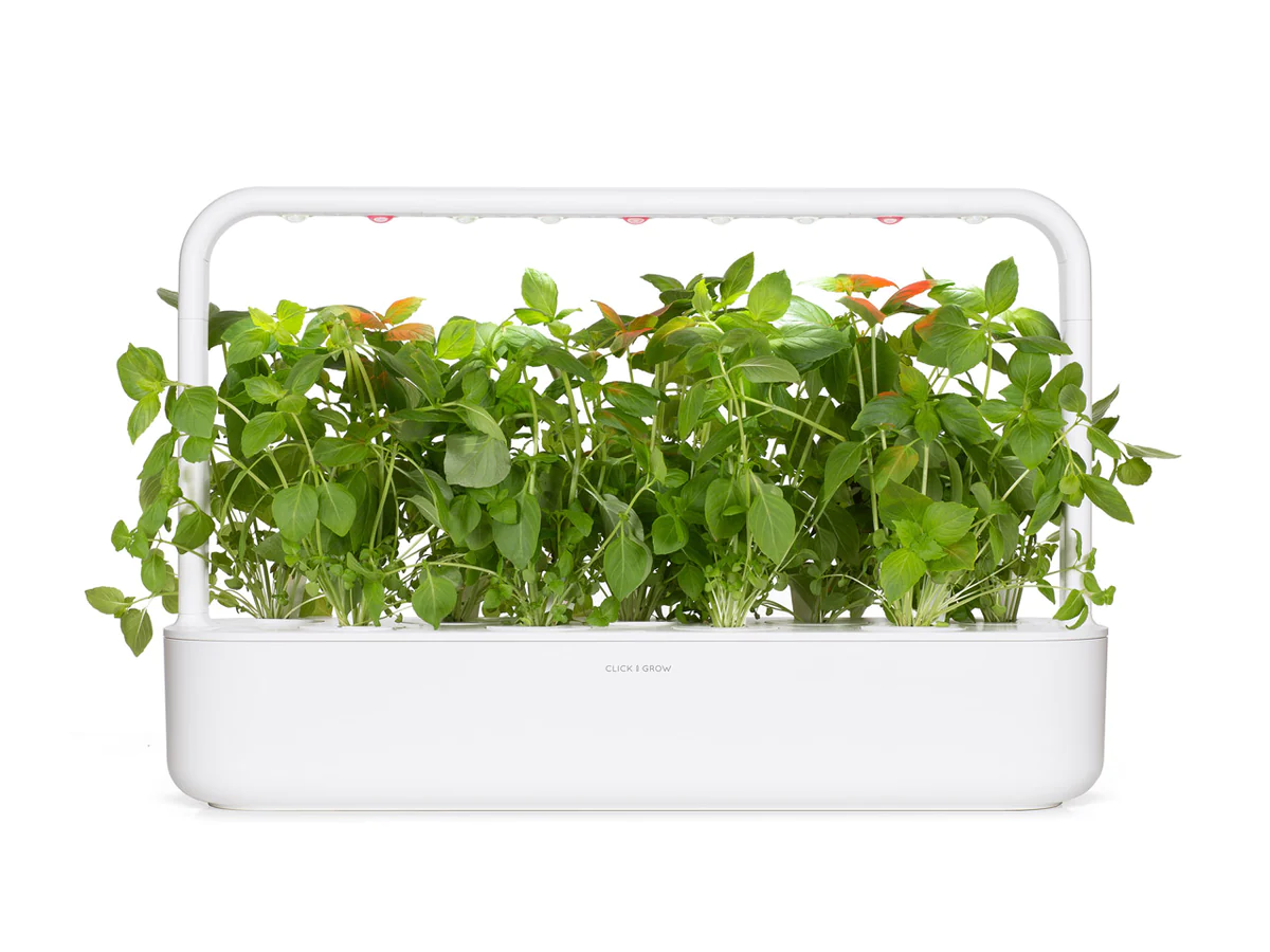 Click And Grow Click & Grow sėklos išmaniajam vazonui - Citrininis bazilikas (SGR100X3) 3vnt. aprašymas - Prekės nuotrauka