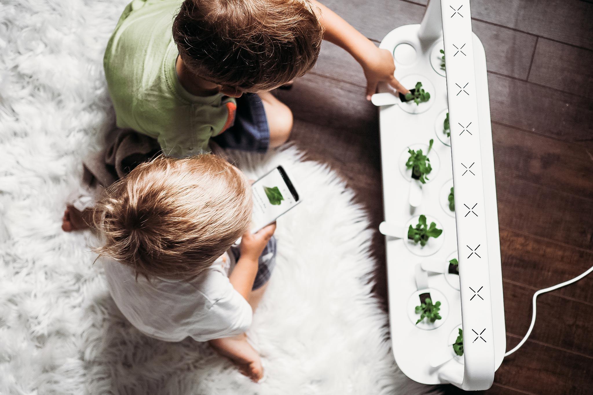 Išmanus namų sodas Click & Grow Smart Garden 9 Pro, baltas
