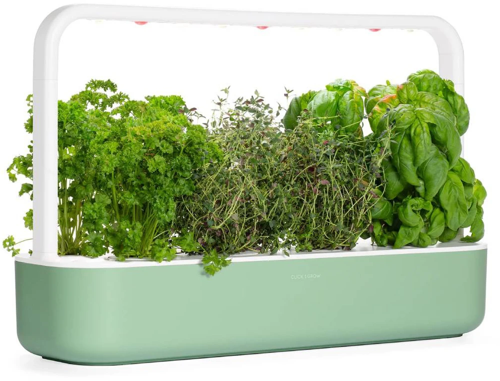 Click & Grow Smart Garden 9, žalias
