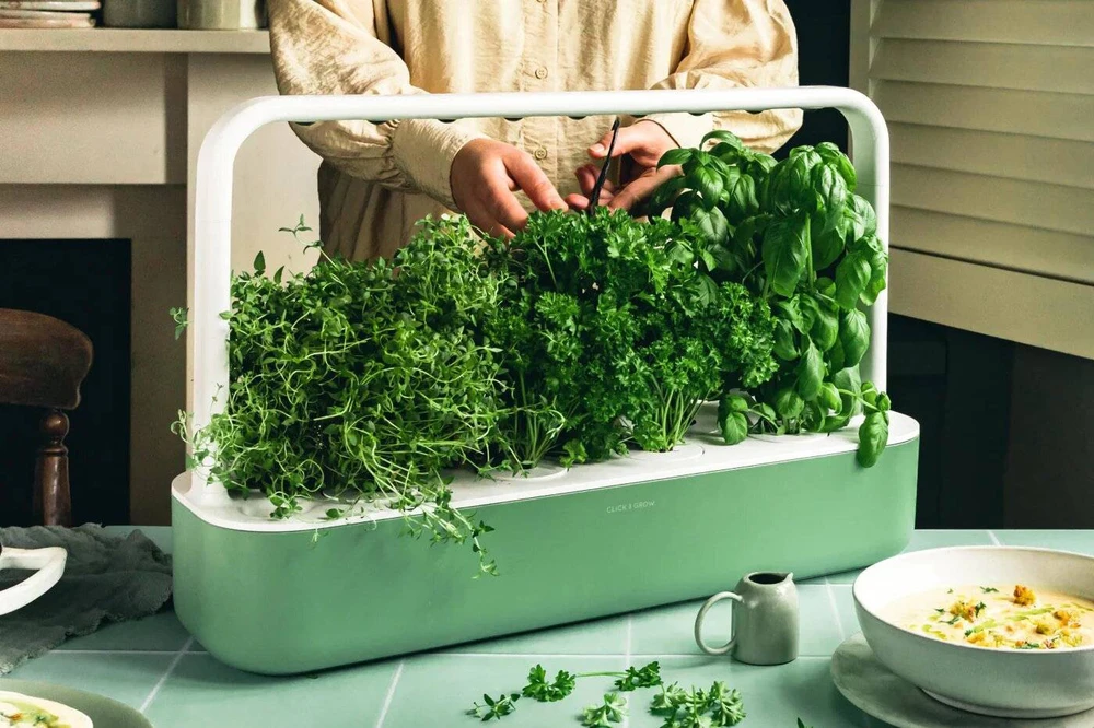 Click & Grow Smart Garden 9, žalias