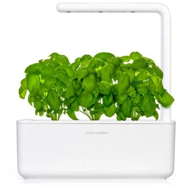Click and Grow Smart Home 3 vnt. papildymas - bazilikų sėklos