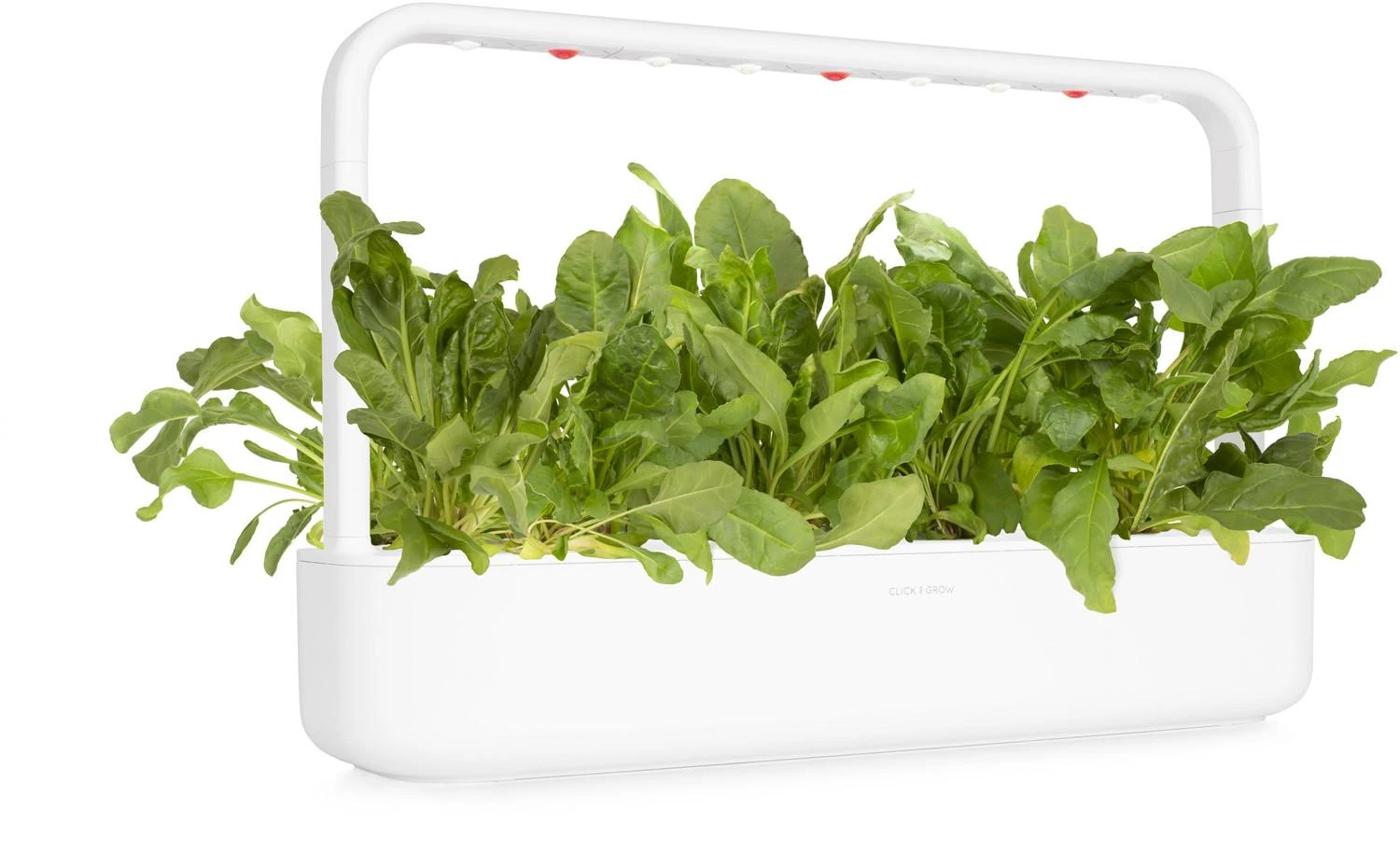 Click And Grow Click & Grow sėklos išmaniajam vazonui - Lapiniai burokėliai, 3vnt.