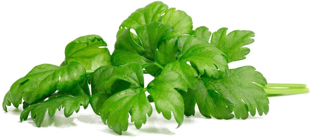 Click And Grow Click & Grow sėklos išmaniajam vazonui - Lapiniai salierai (SGR97X3) 3vnt.