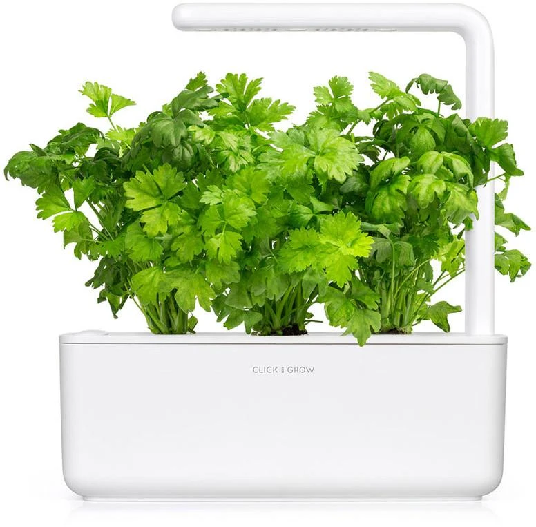 Click And Grow Click & Grow sėklos išmaniajam vazonui - Lapiniai salierai (SGR97X3) 3vnt.