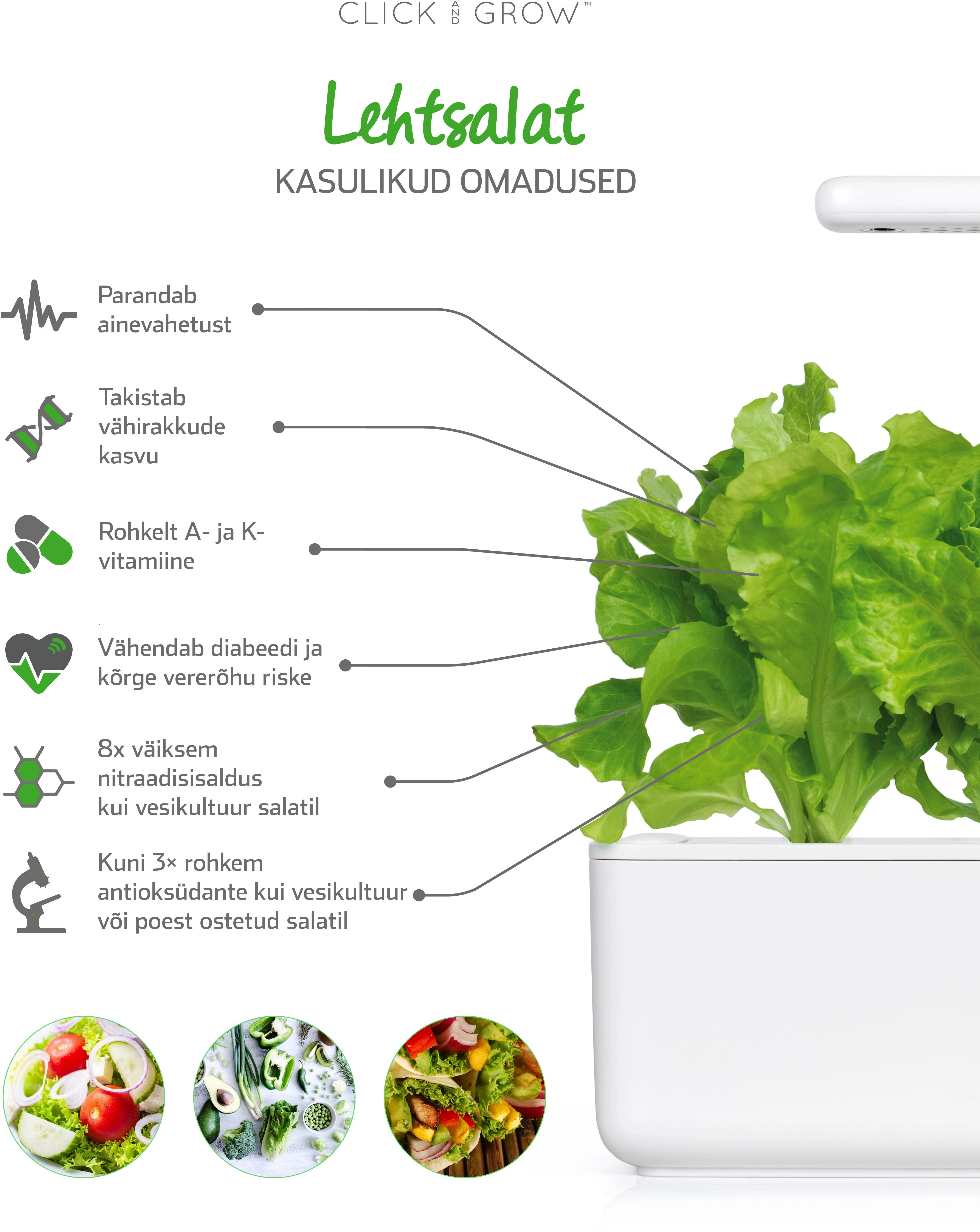 Click And Grow Click & Grow Click & Grow Smart Garden pildomas salotos 3vnt