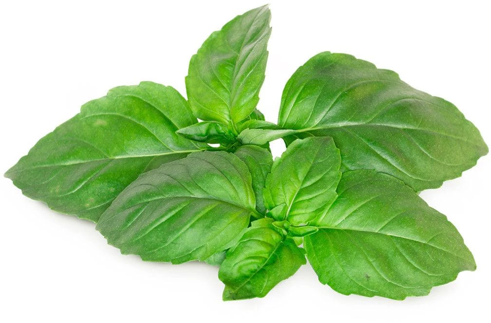 Click And Grow Click & Grow sėklos išmaniajam vazonui - Kvapusis bazilikas (SGR99X3) 3vnt.