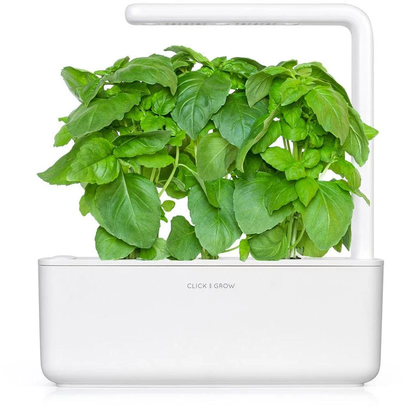 Click And Grow Click & Grow sėklos išmaniajam vazonui - Kvapusis bazilikas (SGR99X3) 3vnt.