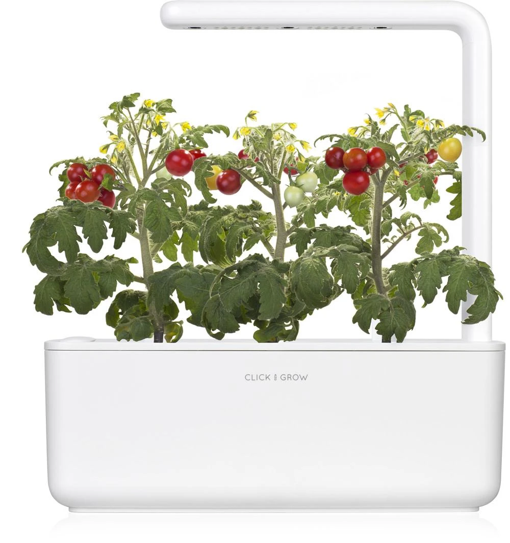 Click Grow „Click and Grow“ – išmaniojo sodo papildymo pakuotė, 3 vnt. – mini pomidorai (SGR5X3)