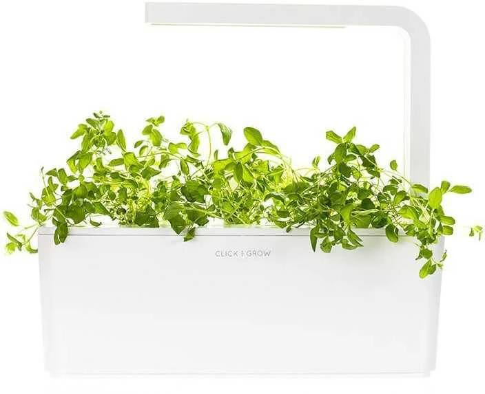 Click and Grow - "Smart Garden" 3 vnt. papildymas - raudonėlio sėklos