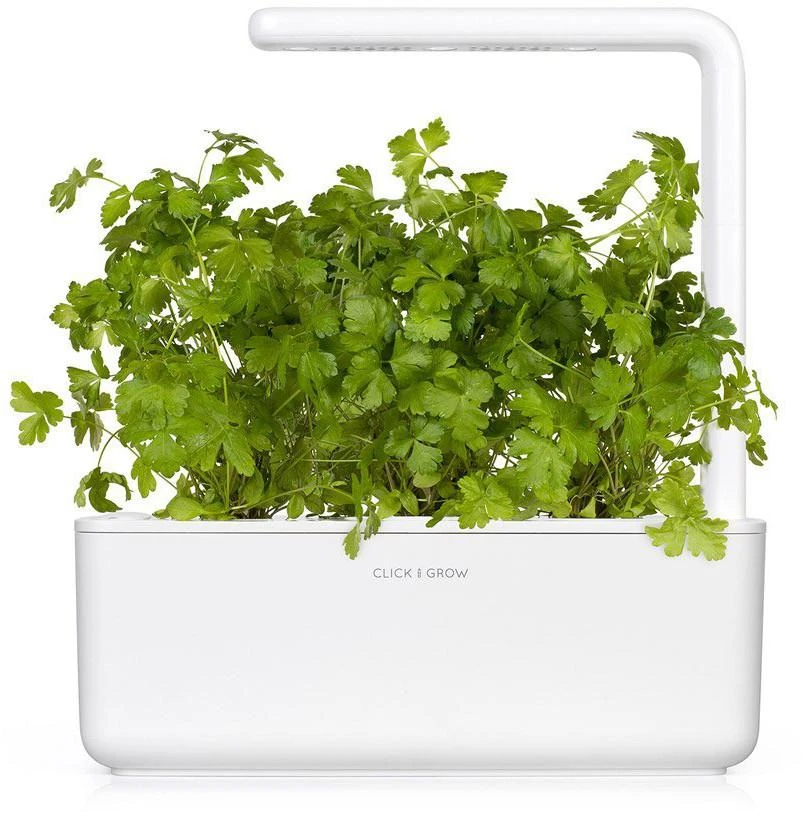 Click and Grow Smart Garden 3 vnt. papildymas - petražolių sėklos