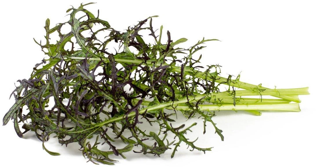 Click And Grow Click & Grow sėklos išmaniajam vazonui - Japoninės garstyčios (Raudona Frill Mustard), 3 vnt.