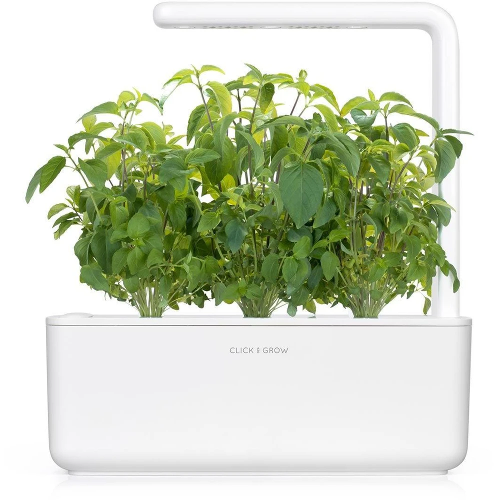 Click & Grow sėklos išmaniajam vazonui - Taivanietiškas bazilikas (SGR37X3) 3vnt.