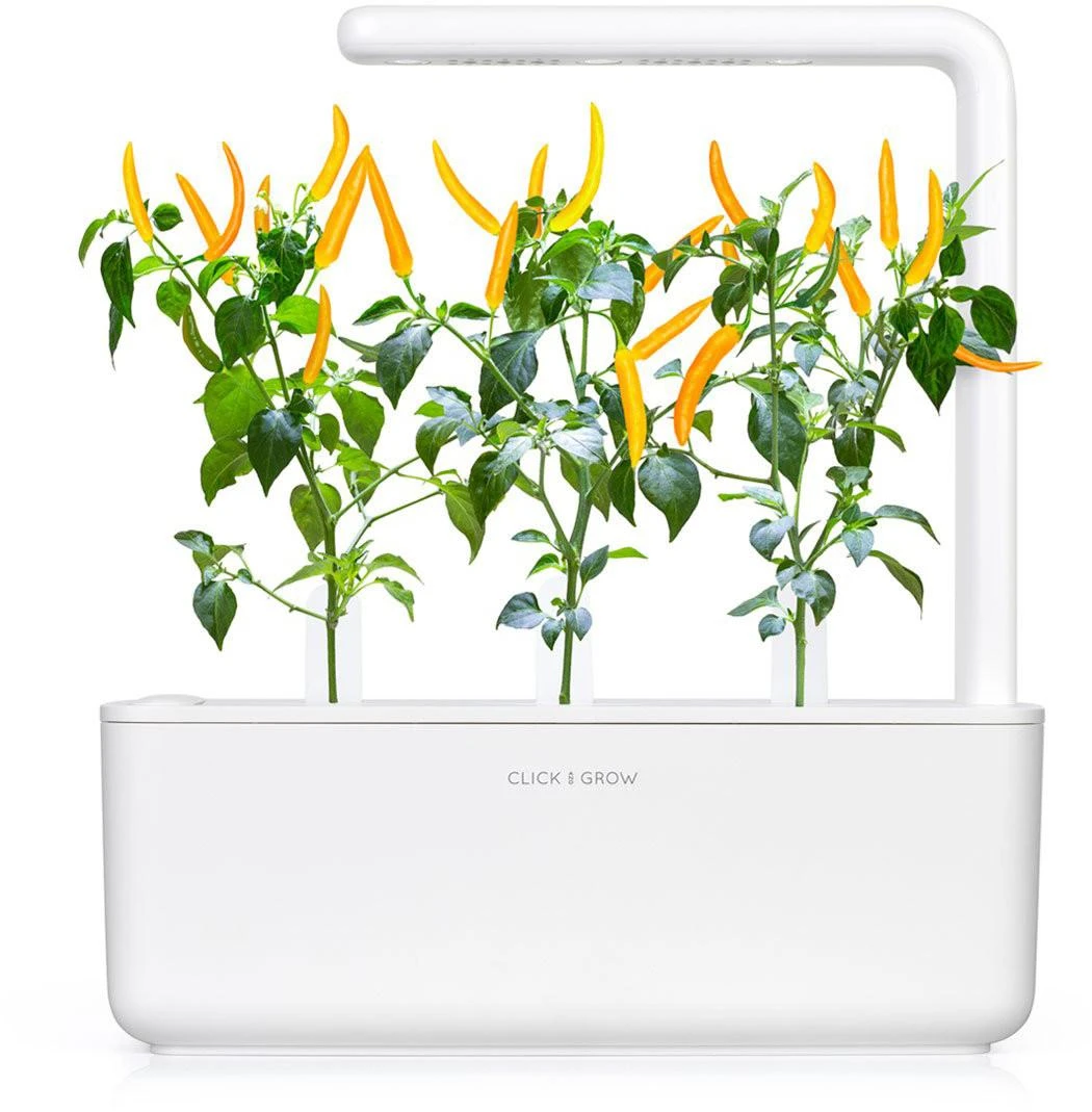 Click & Grow sėklos išmaniajam vazonui - Čili pipirai, 3vnt.