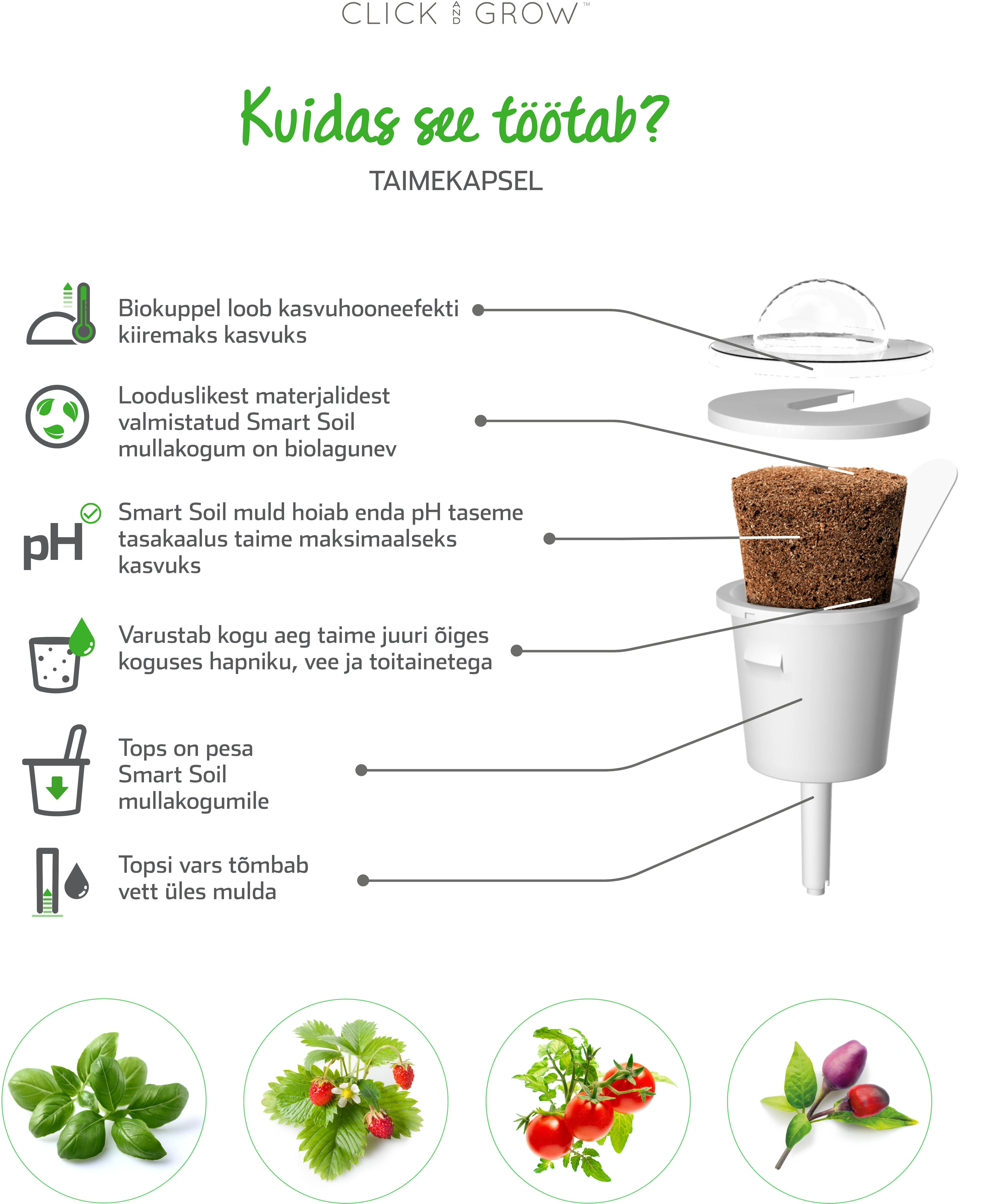 Click and Grow SMART HOME 3 vnt. papildymas - paprikos sėklos, geltonos