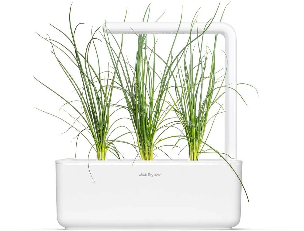 „Click & Grow Smart Garden“ papildymas žaliesiems svogūnams, 3 vnt.