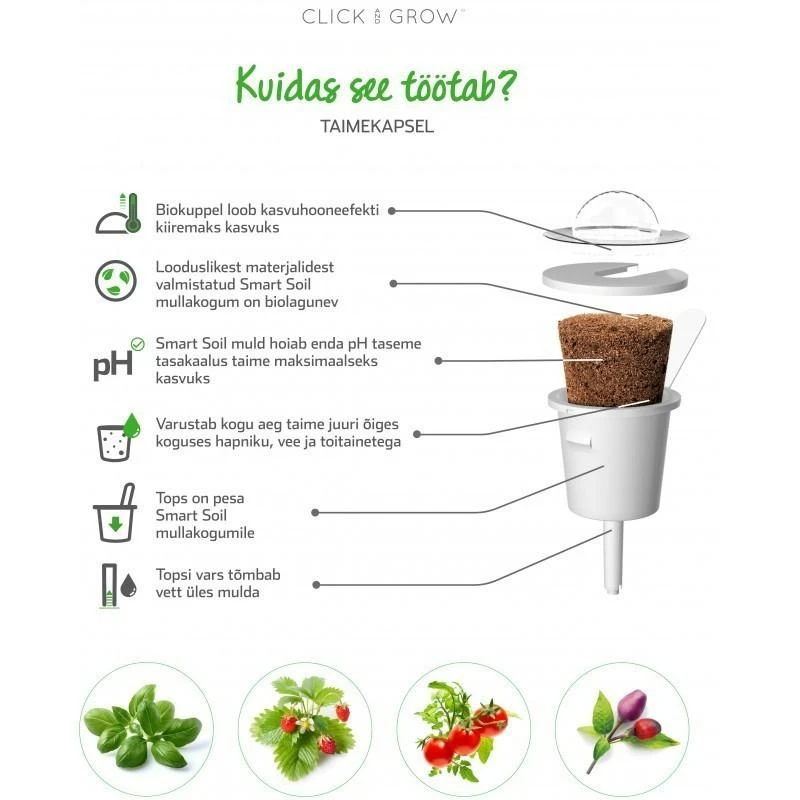 Click And Grow Click & Grow sėklos išmaniajam vazonui - Kale kopūstai (Italian Kale) 3vnt.