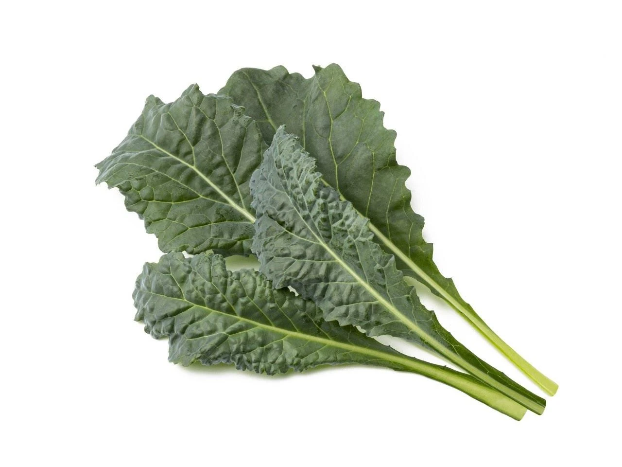 Click And Grow Click & Grow sėklos išmaniajam vazonui - Kale kopūstai (Italian Kale) 3vnt.