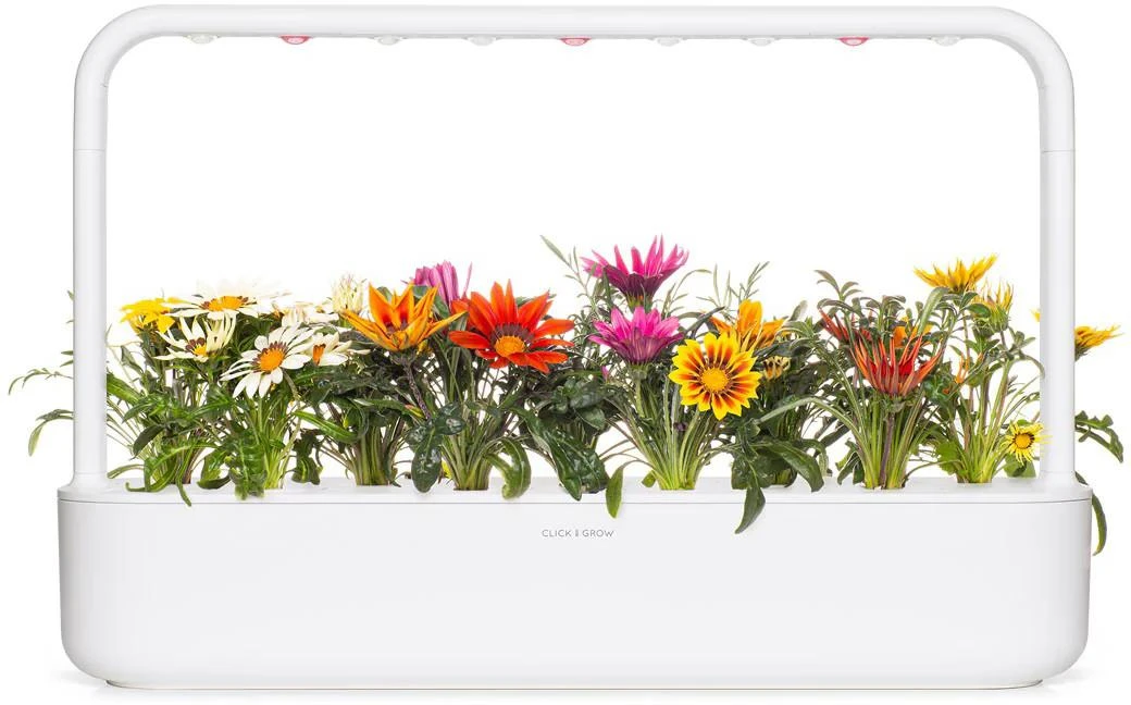 Click And Grow Click & Grow sėklos išmaniajam vazonui - Gazanijos, 3 vnt.