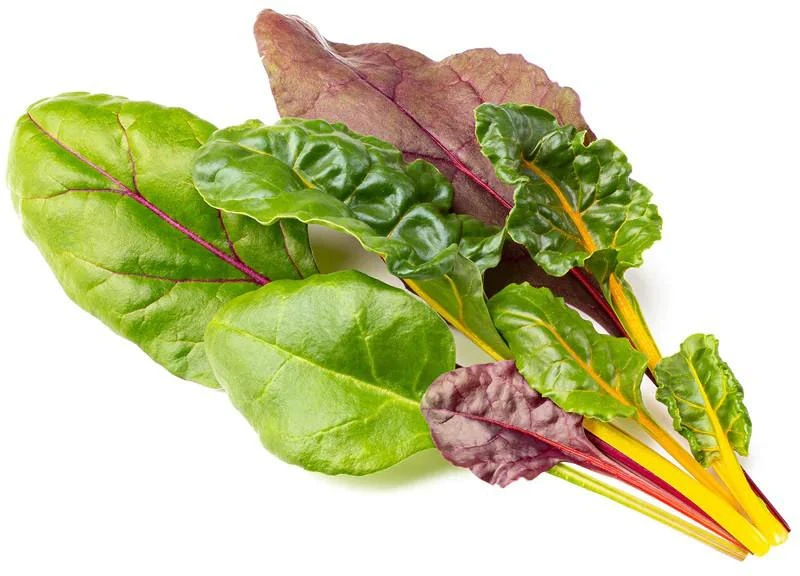 Click And Grow Click & Grow sėklos išmaniajam vazonui - Mangoldai (Rainbow Chard), 3vnt.