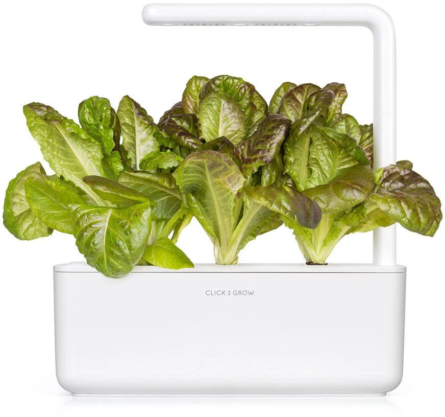 Click And Grow Click & Grow sėklos išmaniajam vazonui - Raudonosios romaninės salotos, 3vnt.