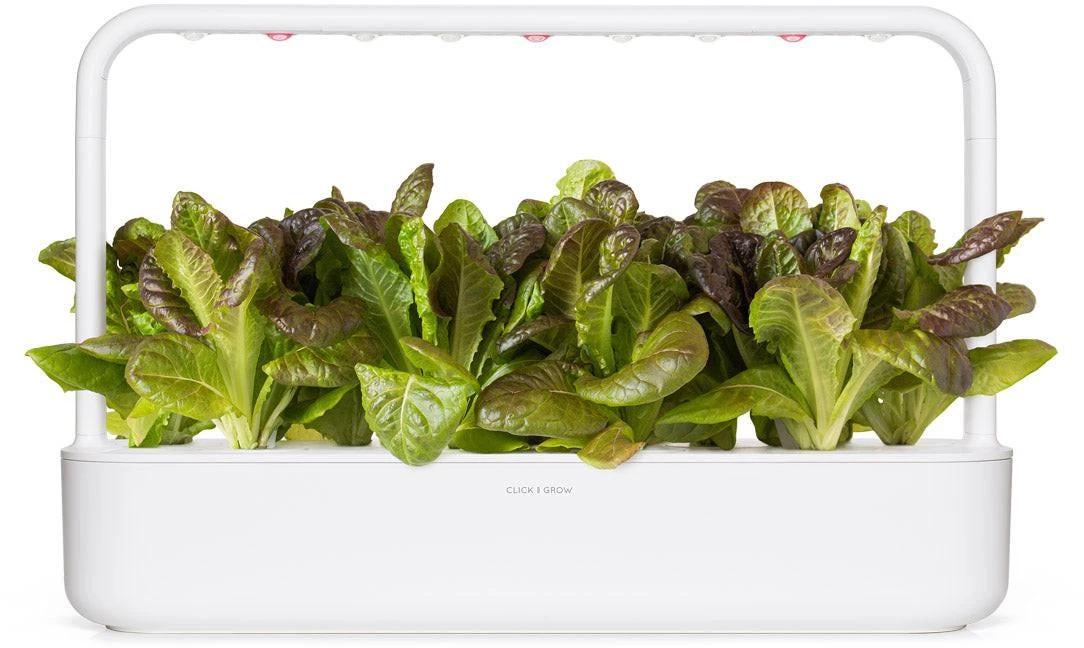 Click And Grow Click & Grow sėklos išmaniajam vazonui - Raudonosios romaninės salotos, 3vnt.