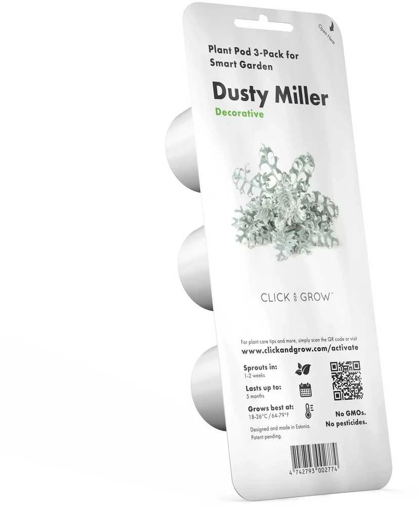 Click & Grow sėklos išmaniajam vazonui - Pilkšvalapė žilė (Dusty Miller), 3 vnt.