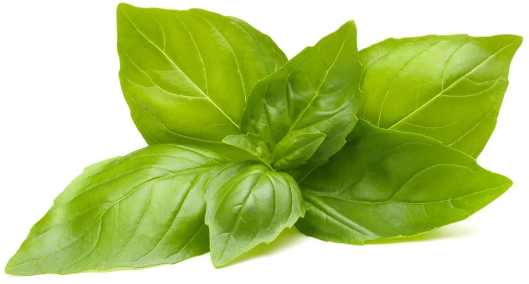 Click And Grow Click & Grow sėklos išmaniajam vazonui - Bazilikai citrininiai, 3vnt.