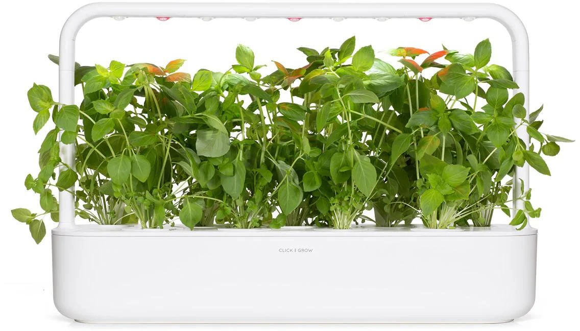 Click And Grow Click & Grow sėklos išmaniajam vazonui - Bazilikai citrininiai, 3vnt.