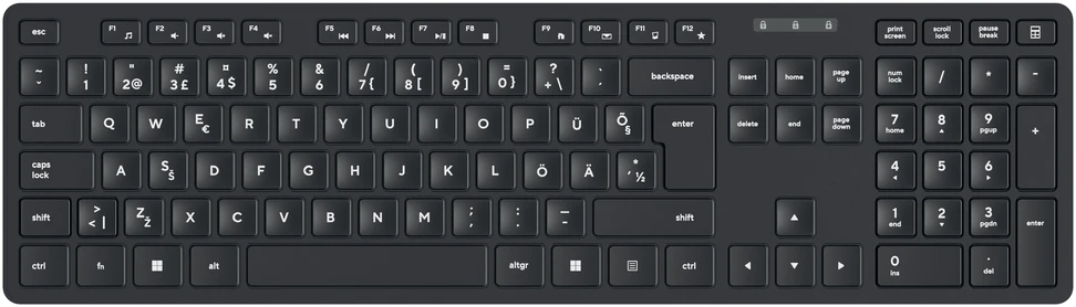 Pelė D-Fruit wireless keyboard EST DF157