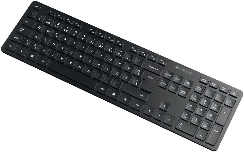 Pelė D-Fruit wireless keyboard EST DF157