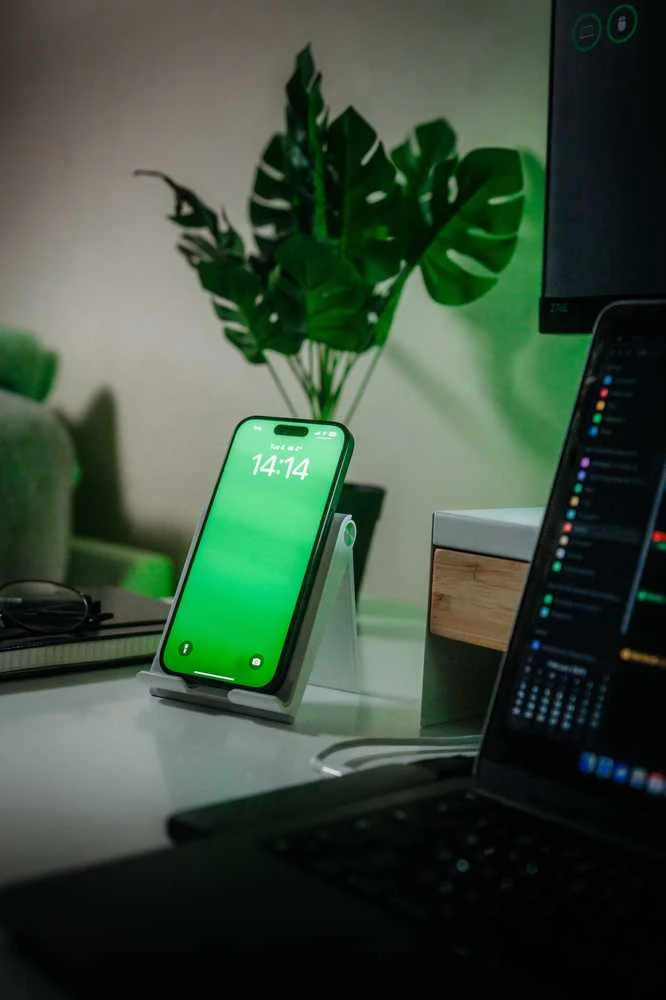 D-Fruit phone desktop holder DF129