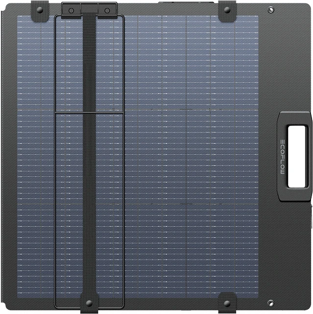 Nešiojamas saulės modulis EcoFlow 220 W