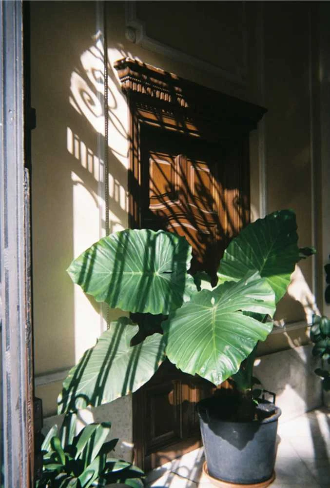 FUJIFILM QUICKSNAP 400/27 BLYKSTĖ