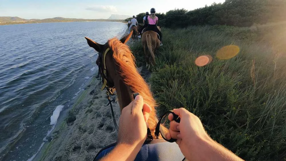GoPro dirželiai
