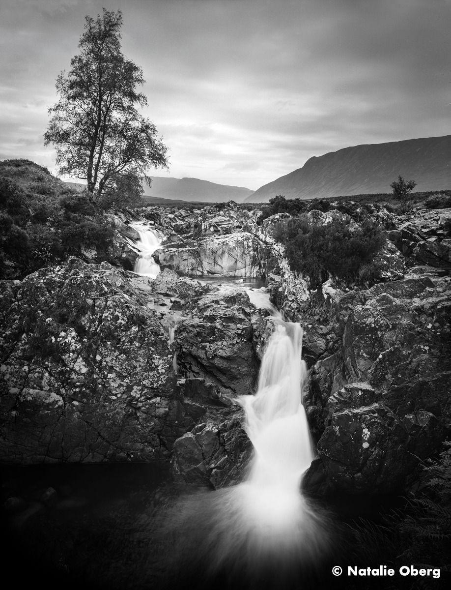 Fotojuosta Ilford ORTHO Plus 80 135/36