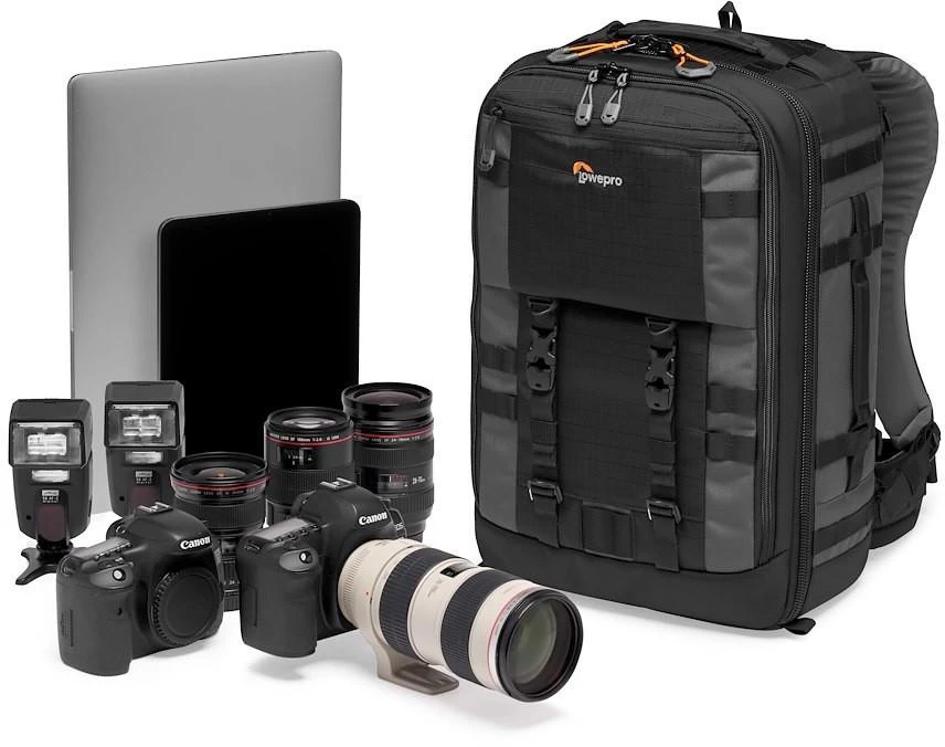 Lowepro backpack Pro Trekker BP 350 AW II, pilkas (LP37268-GRL)