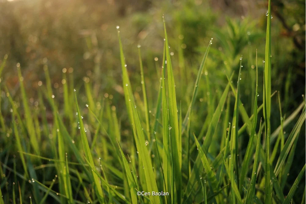 Fujifilm Objektyvas Fujinon XF23mm F2.8 R WR sidabrinis