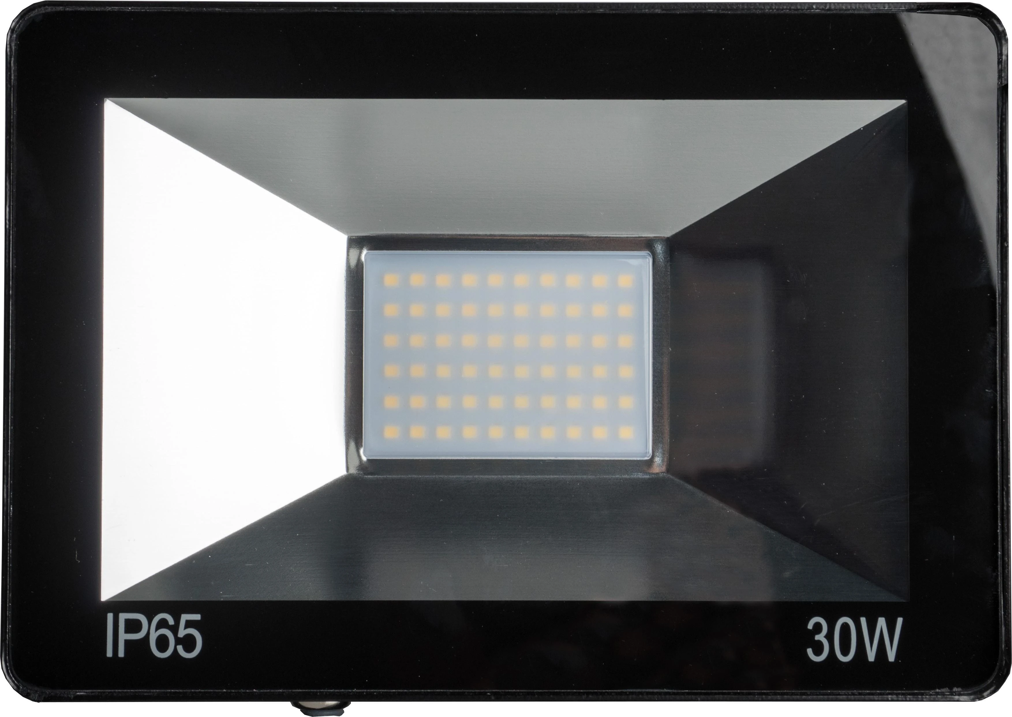 Omega LED prožektorius 30W 4200K (43861)