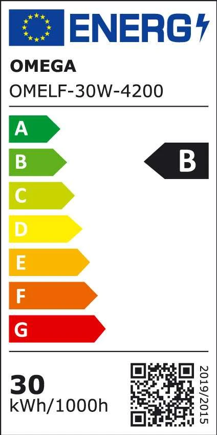 Omega LED prožektorius 30W 4200K (43861)