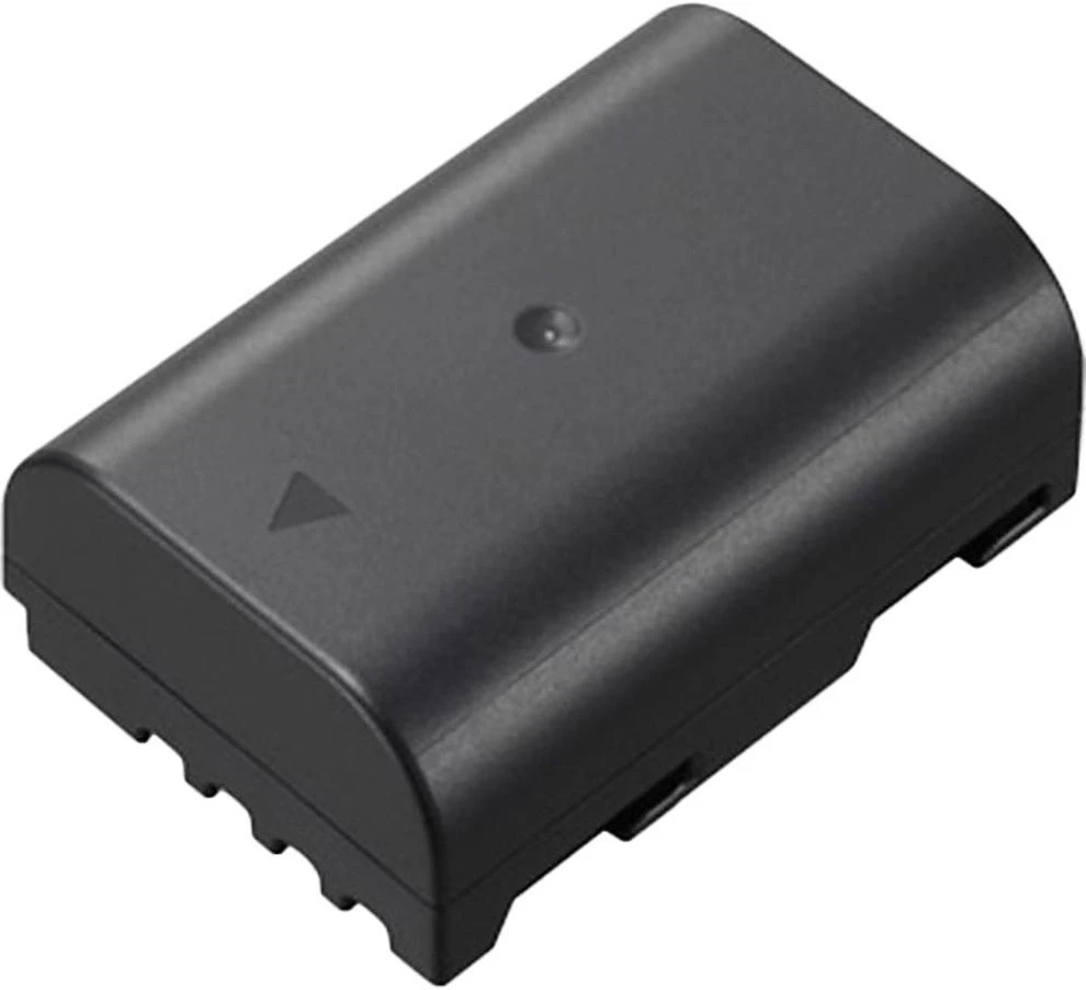 Panasonic akumuliatorius DMW-BLF19