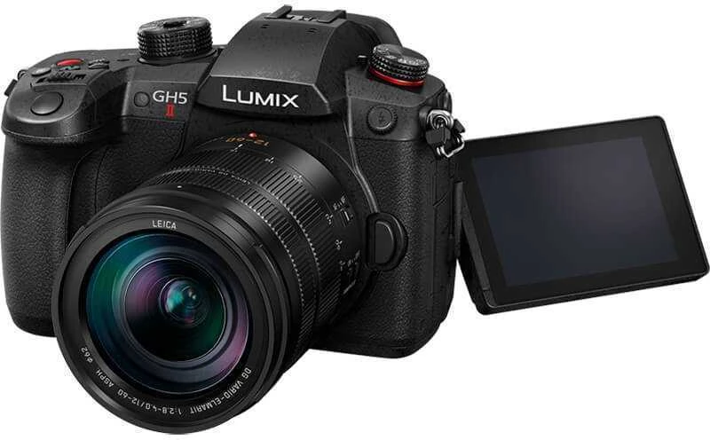 Panasonic Lumix G GH5 II (DC-GH5M2L) + Panasonic LEICA DG VARIO-ELMARIT 12-60mm / F2.8-4.0 ASPH. / POWER OIS (H-ES12060)
