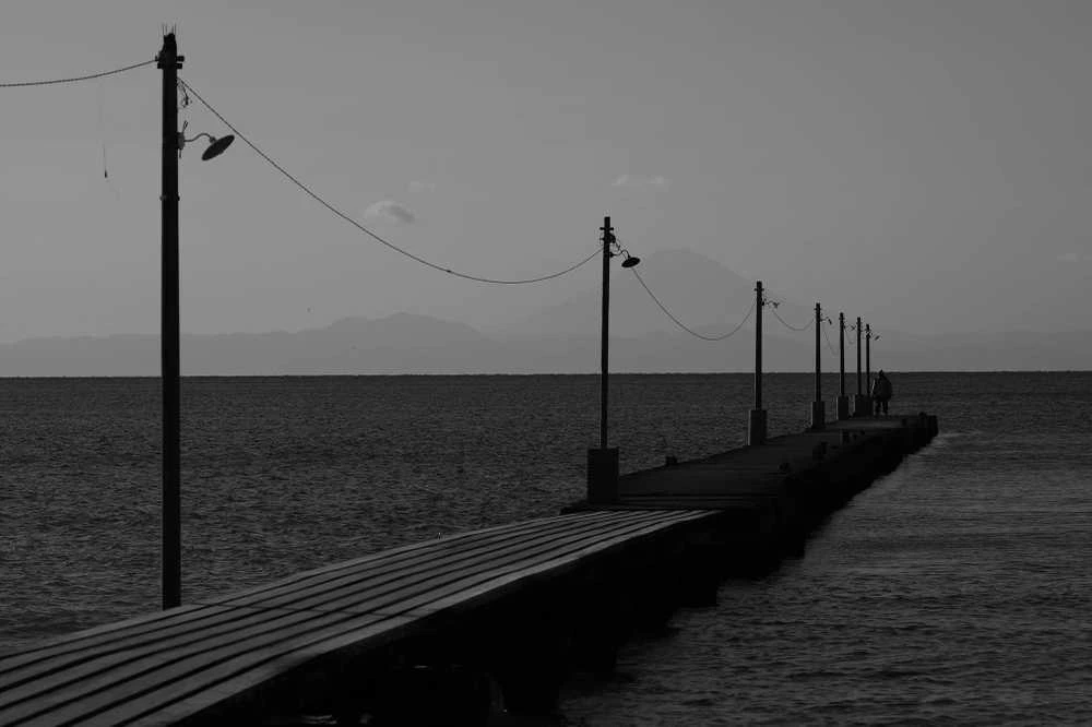 „Panasonic Lumix S1 II“ (DC-S1M2) korpusas