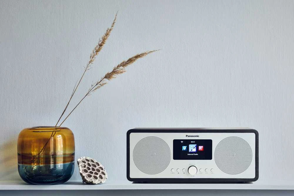 Panasonic internetinis DAB+ radijas RF-D40EG-K
