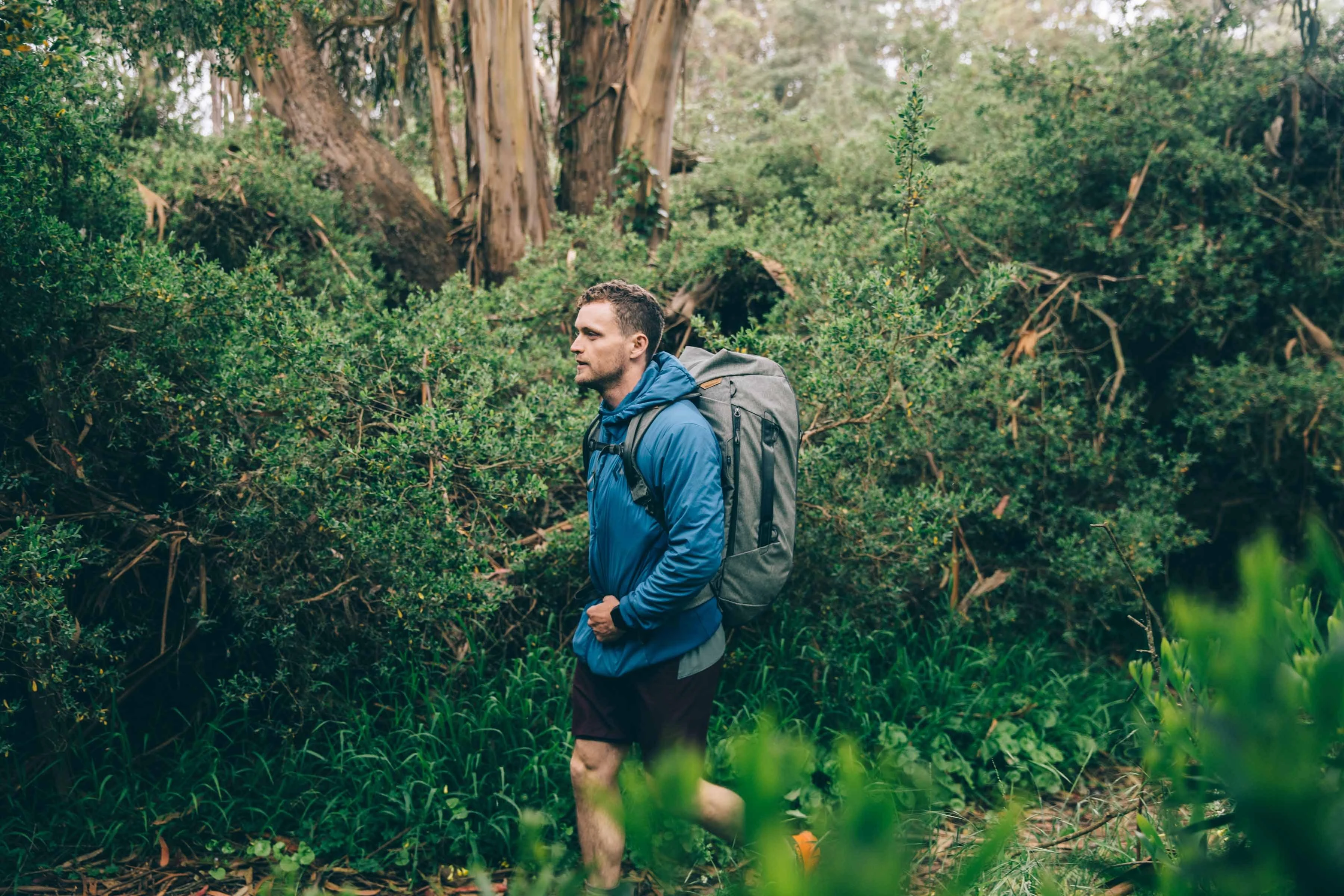 Peak Design kuprinė Travel DuffelPack 65L, šalavijas