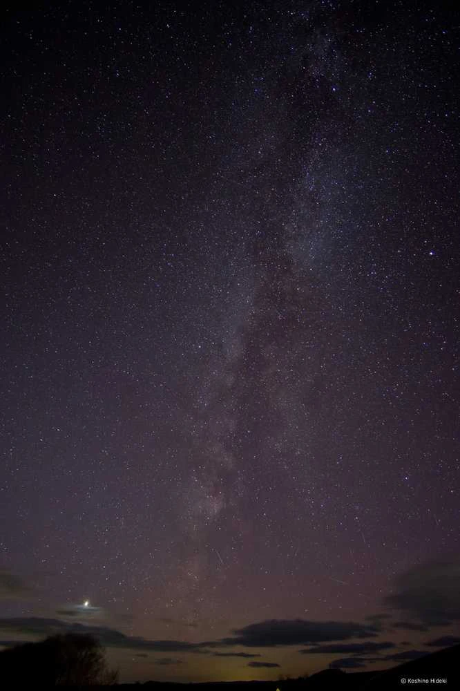 Objektyvas Samyang AF 12mm F/2.0 RF-S