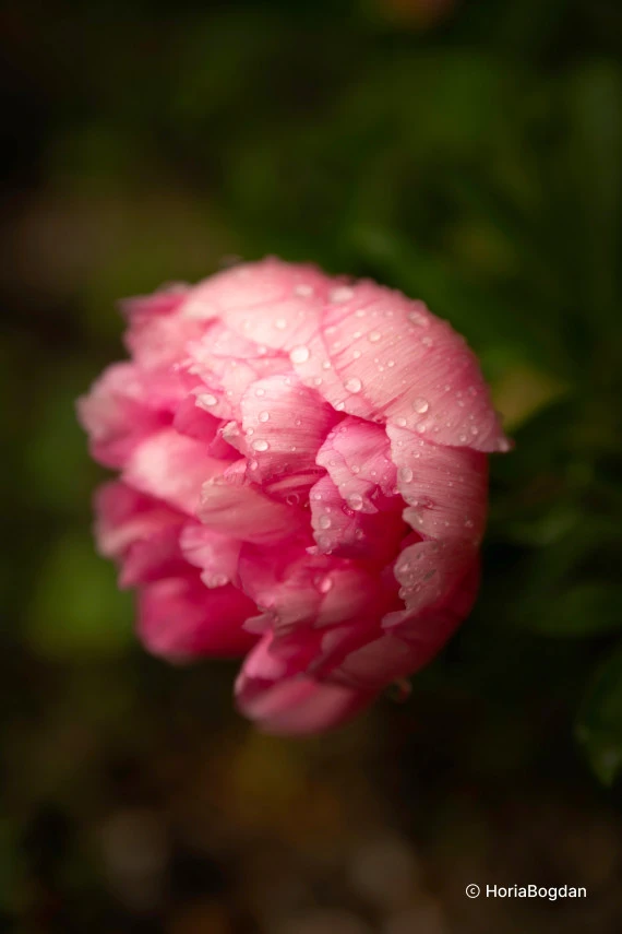 „Samyang AF 60-180mm F/2.8 Sony FE“ objektyvas (pilno kadro ir APS-C)