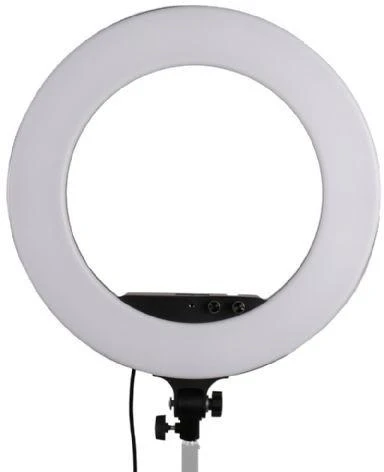 StudioKing LED žiedas LED-480ASK
