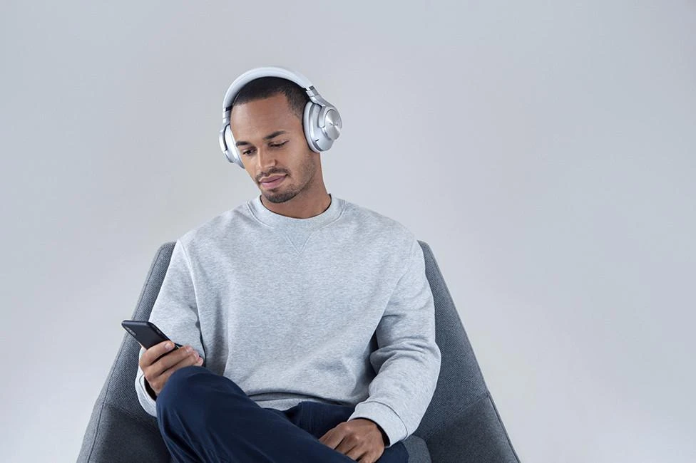 Ausinės Technics EAH-A800E-K, Sidabrinės spalvos
